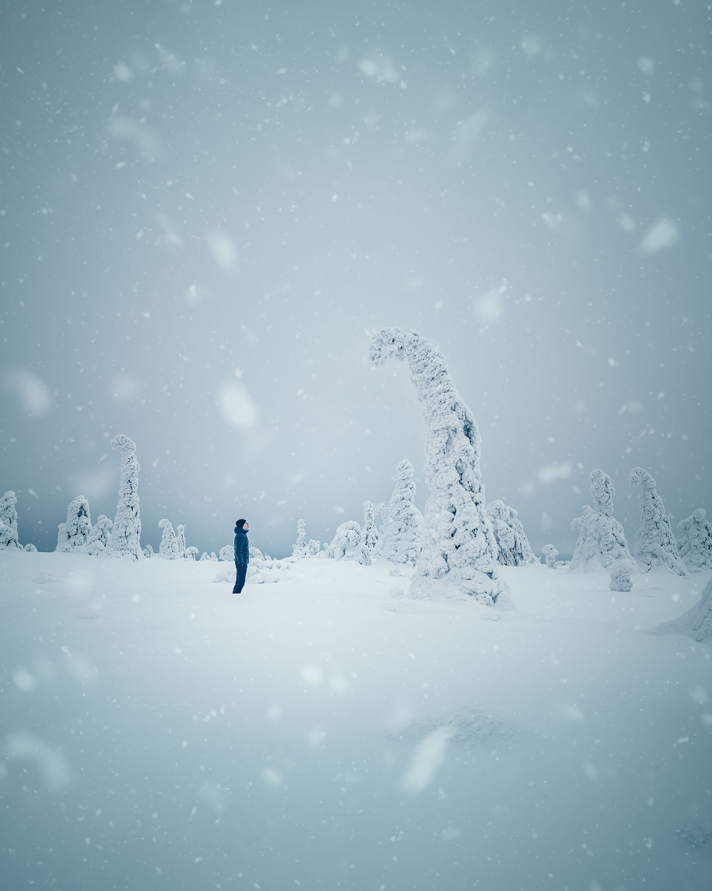 Emotion – a lone figure in falling snow among frosted trees