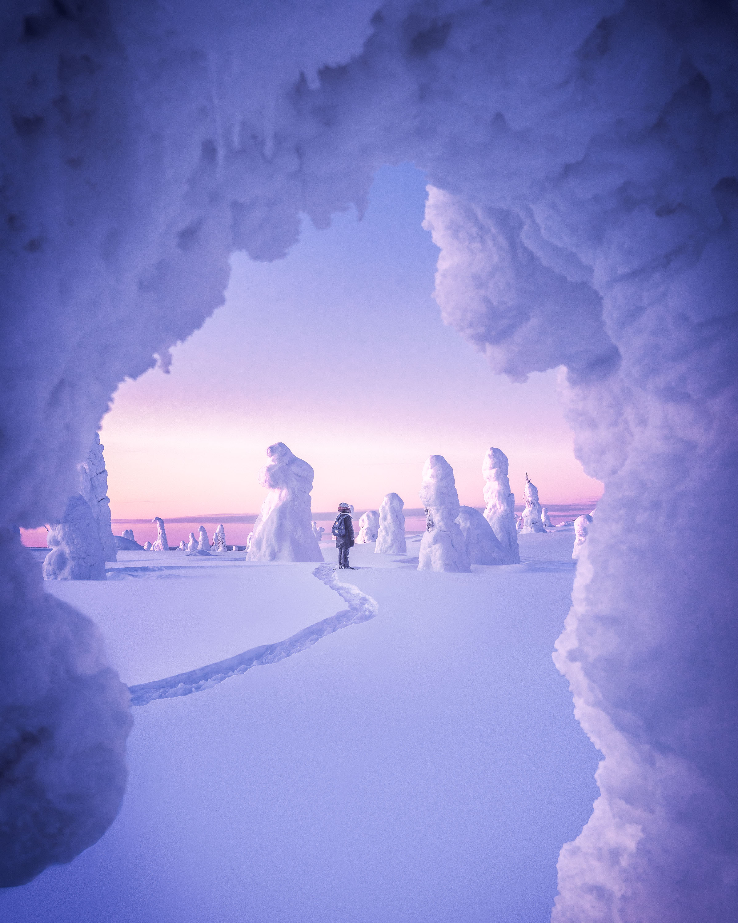 Seeing – snow-frosted trees framing a lone figure, a natural composition